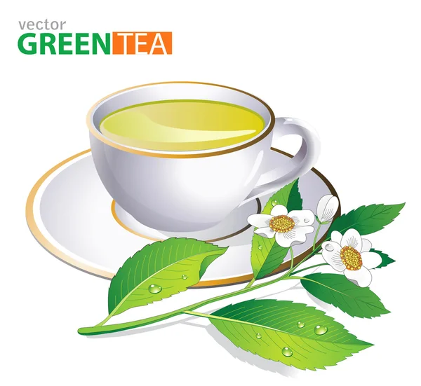 Chá verde xícara branca e folhas de chá fresco e flores sobre branco . —  Vetores de Stock