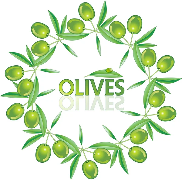 オリーブの葉からベクトル花輪 — ストックベクタ