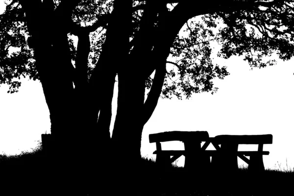 sihirli bir yer gölge