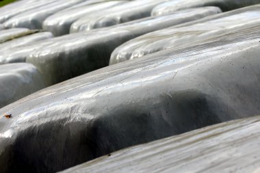 Su geçirmez haylofts