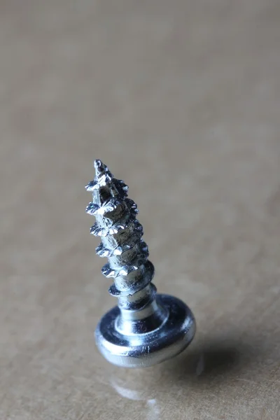 The screw — Stock Photo, Image