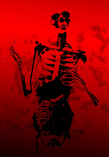 Esqueleto 2D sangrento com tripas — Fotografia de Stock