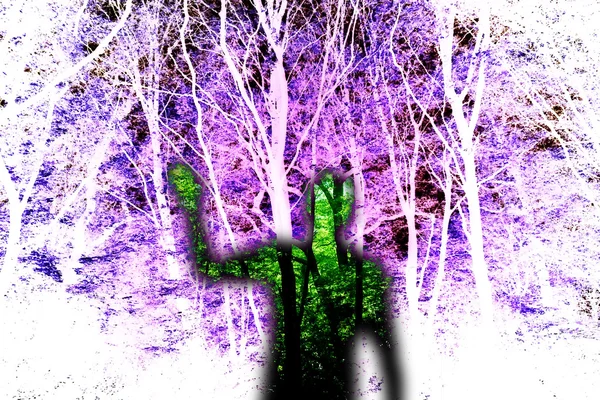 stock image Ghost In The Woods