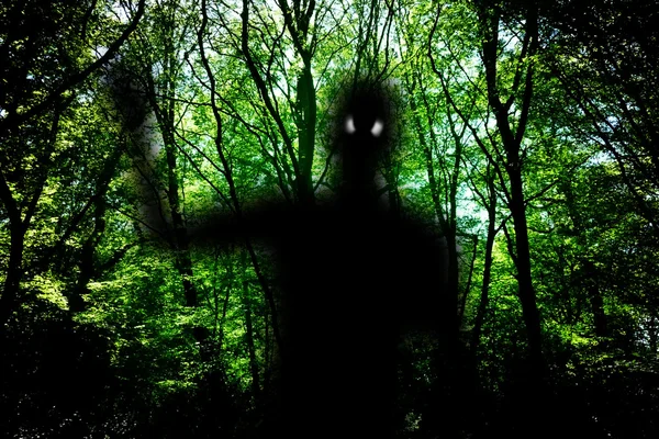 Fantôme dans les bois — Photo