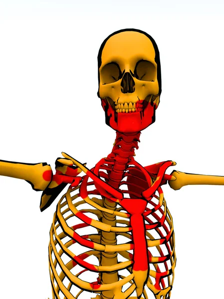 Мультфільм Скелет з кров'ю — стокове фото