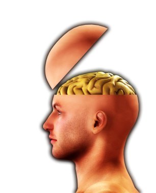 Profile Open Minded Head clipart