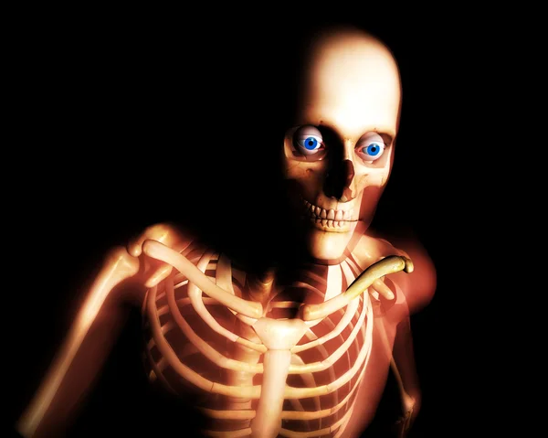 Кістки людини — стокове фото