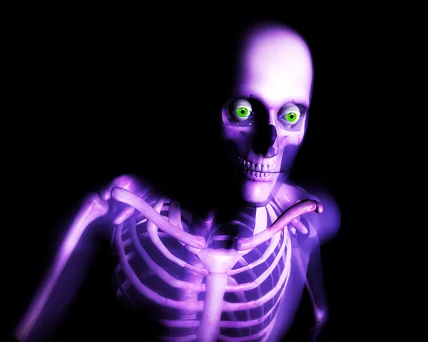 인간의 뼈 — 스톡 사진