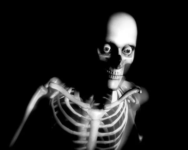 Ludzkie kości — Zdjęcie stockowe