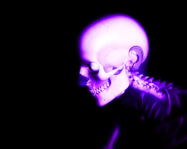 人間の骨 — ストック写真