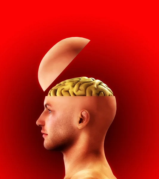Profil otwarty umysł głowy — Zdjęcie stockowe