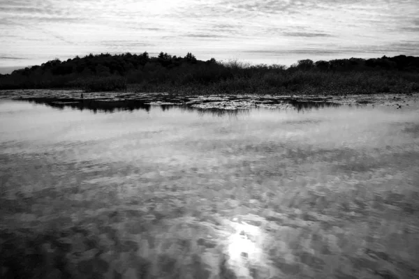 Walden Pond — Stock Photo, Image