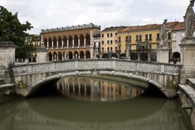 Buildings in Padua clipart