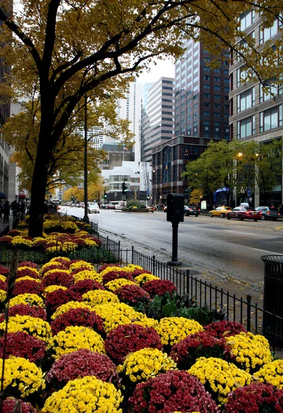 stock image Chicago street