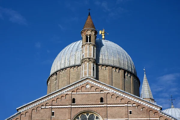 Basilikan saint Antonius av padua — Stockfoto