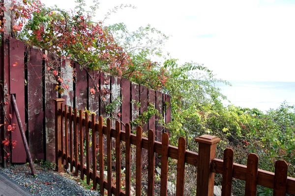 Sonbahar çit — Stok fotoğraf