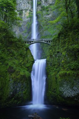 Multnomah Falls clipart