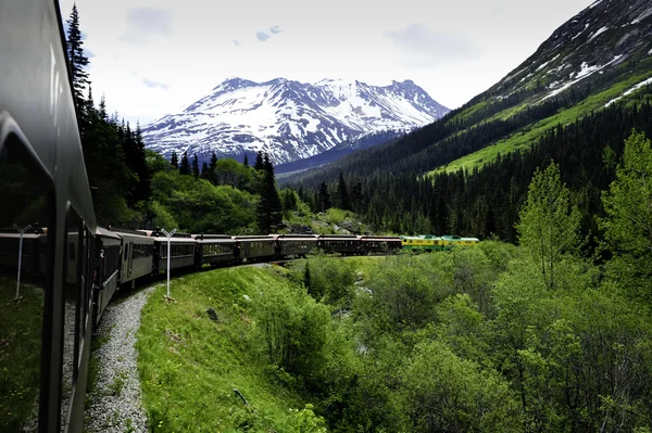 Pociągiem z white pass do skagway alaska — Zdjęcie stockowe