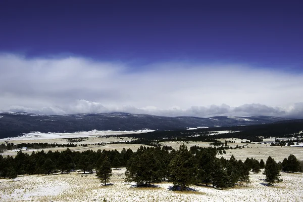 Valle en la nieve — Foto de Stock