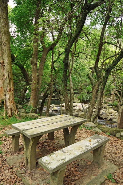 Picknick plaats in bos — Stockfoto