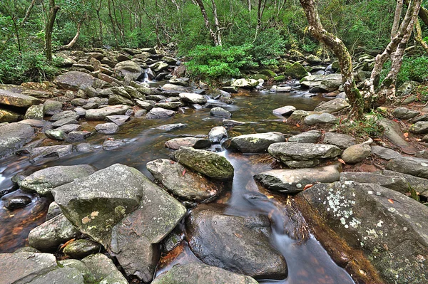 级联的水通过森林 — 图库照片