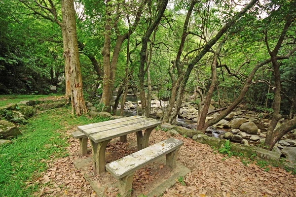 Local de piquenique na floresta — Fotografia de Stock