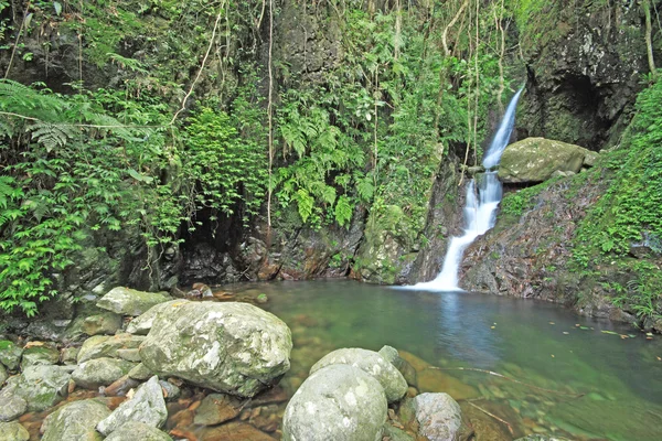 Nahaufnahme eines schönen entspannenden Wasserfalls — Stockfoto