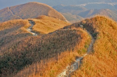 dağ yolu