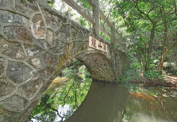 Híd az erdőben — Stock Fotó