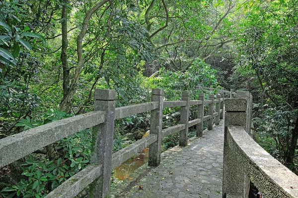 Bridge in the forest — Stock Photo, Image