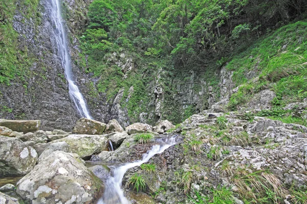 美しいリラックスした滝のクローズ アップ — ストック写真