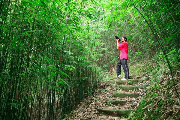 fotoğrafçı çekimi fotoğraf bambu yolunda