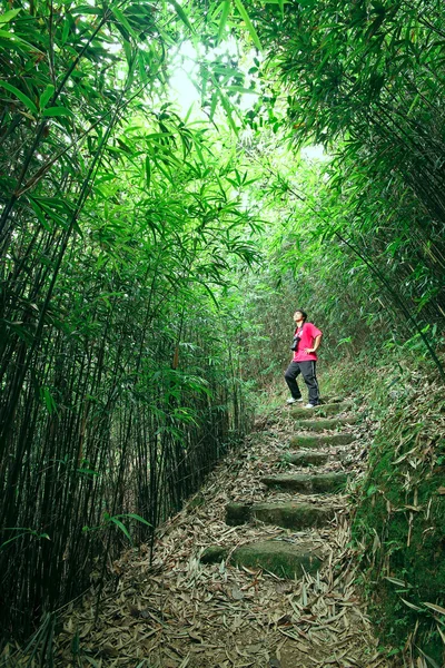 Fotograaf nemen foto in bamboe pad — Stockfoto