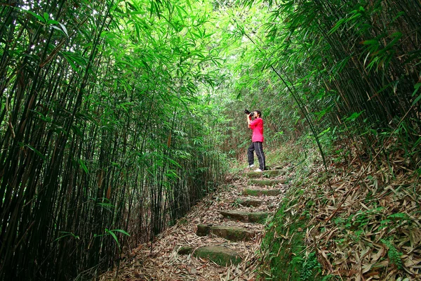 Fotograaf nemen foto in bamboe pad — Stockfoto