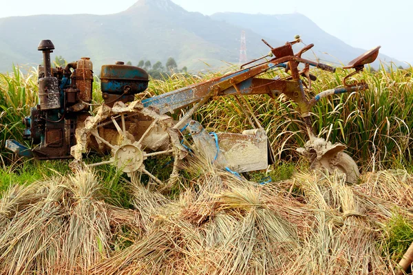Tractor on rice farm — Stock Photo, Image