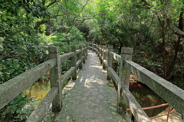 Ponte na floresta — Fotografia de Stock
