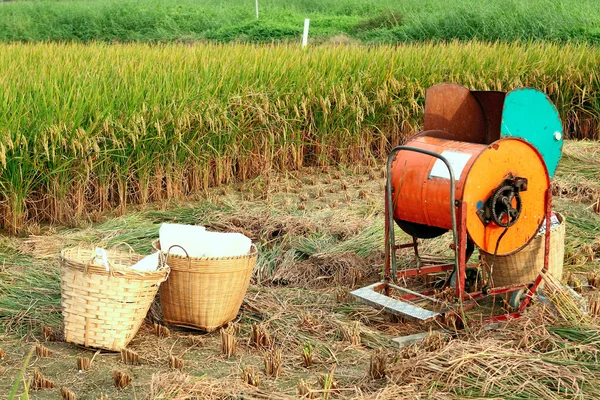 Máquina de madera de arroz vintage —  Fotos de Stock