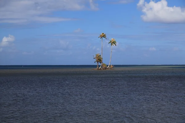 Крошечный остров — стоковое фото