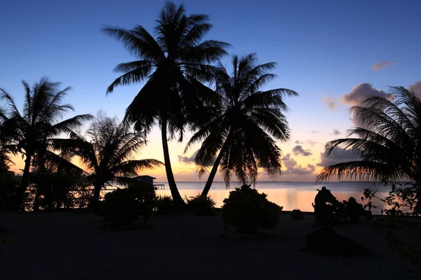 South pacific efter solnedgången Stockbild