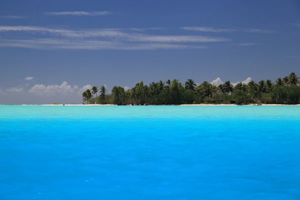 完美的礁湖 免版税图库照片