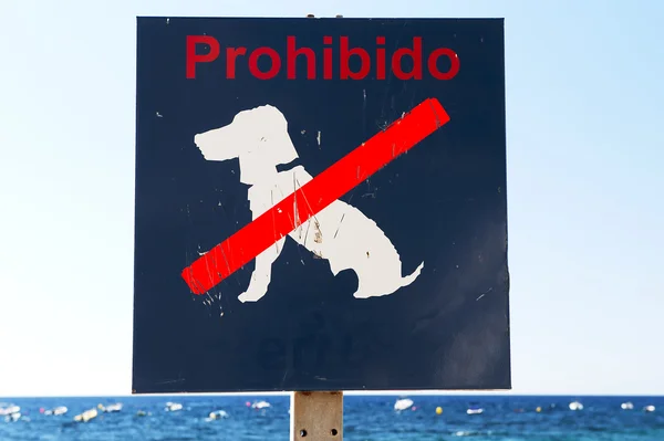 stock image No Dogs on Beach Sign