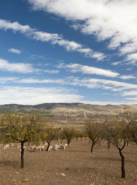 Turbina eólica Fazenda Espanha — Fotografia de Stock