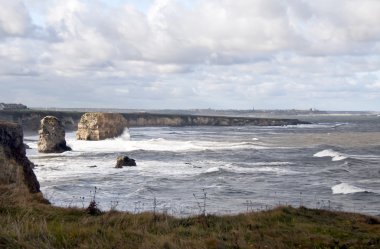 View over Marsden Bay towards River Tyne clipart