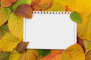 Notebook on the autumn leaves