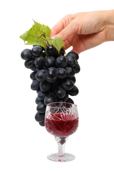 Mão com uvas e vinho tinto — Fotografia de Stock