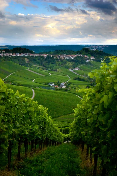 stuttgart, Almanya'nın bağ