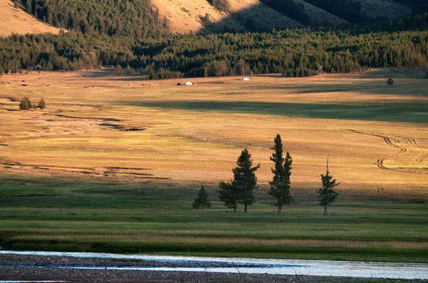 Krajobraz góry w północnej Mongolii — Zdjęcie stockowe
