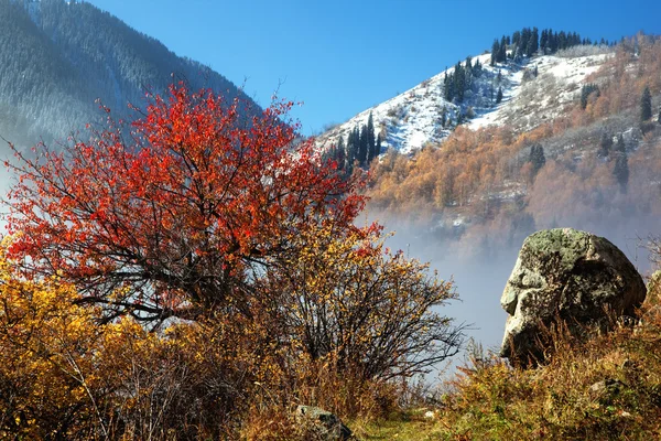 Primera nieve en las montañas de otoño — Foto de Stock