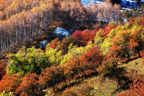 Montanha outono paisagem — Fotografia de Stock