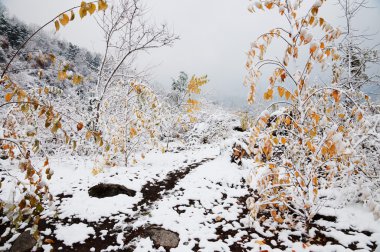 Dağdaki ilk kar